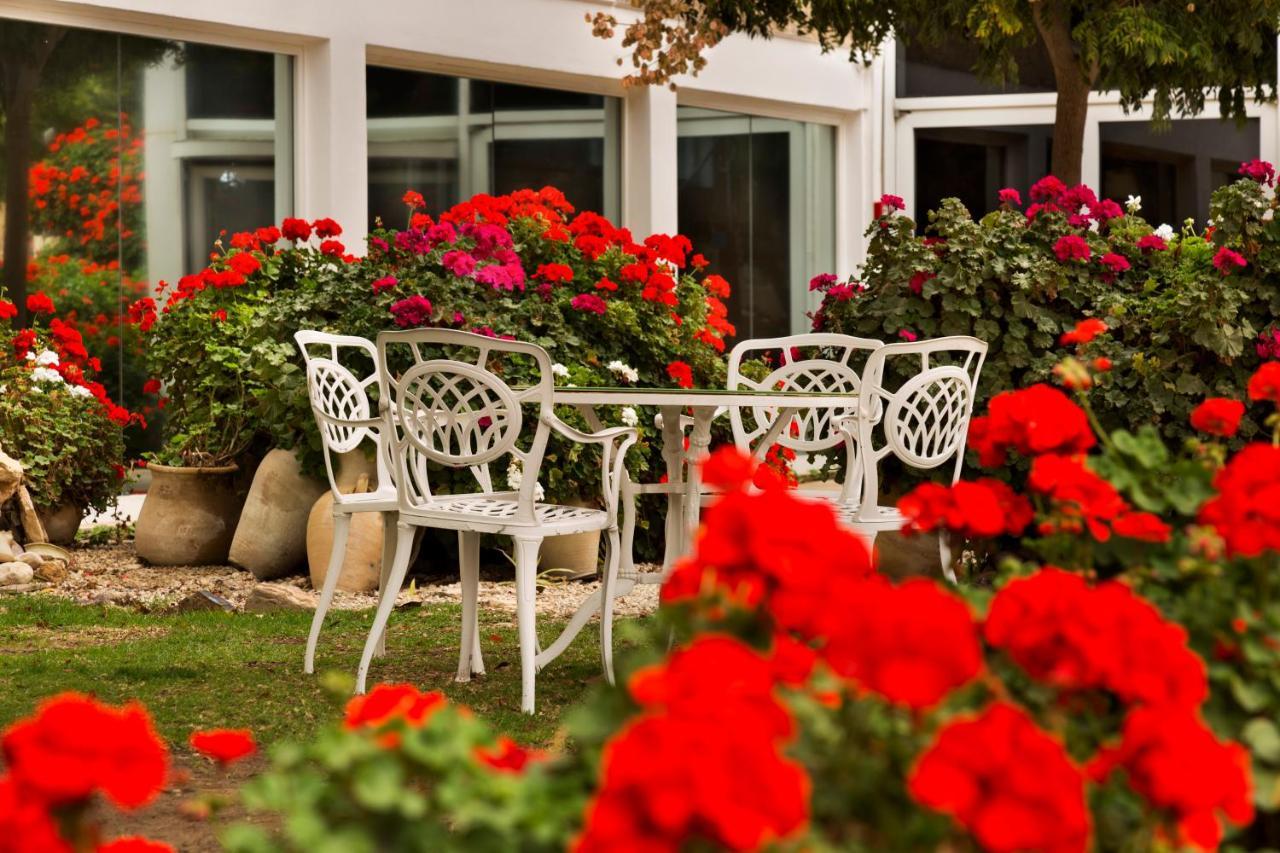 Ramon Inn By Isrotel Collection Мицпе Рамон Екстериор снимка